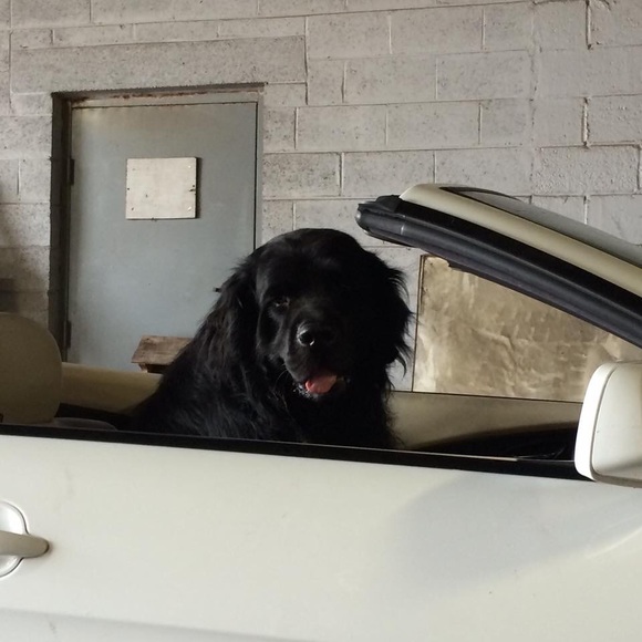 PLEASE READ MESSAGE - Picture 6 of 8